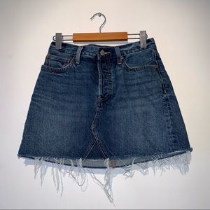 Denim Forum Denim Skirt (The Mini Edie)